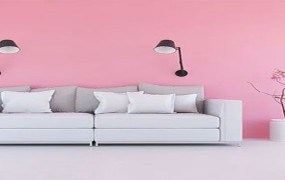 Interior Paints